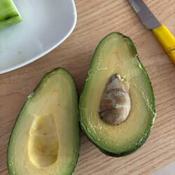 Extrem gute Avocados jeden Tag
