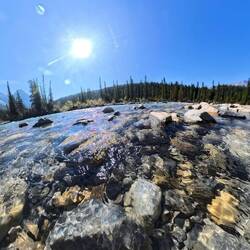 Crystal waters