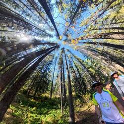 Forest Trail