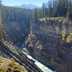 Siffleur Rapids