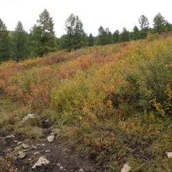 Lovely autumn colours