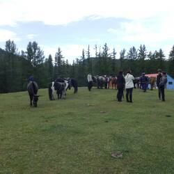 Dismounted at the Tourist Camp