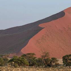 The dunes were looking awesome this morning