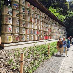 Meiji -Schrein, Spenden von Sake