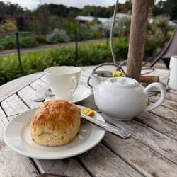 Tea Time