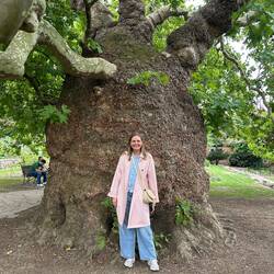 Under the out of control Plane tree.