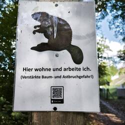 Uferweg
