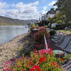 Boppard