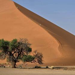 Some people loved climbing the dunes