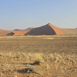 Dune 40