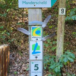 Nur der Eifelsteig hat Flügel.