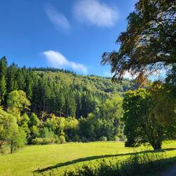 Im Tal der Lieser.