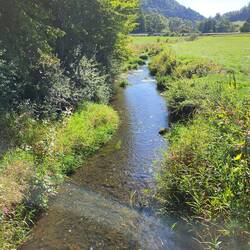 Die Lieser.