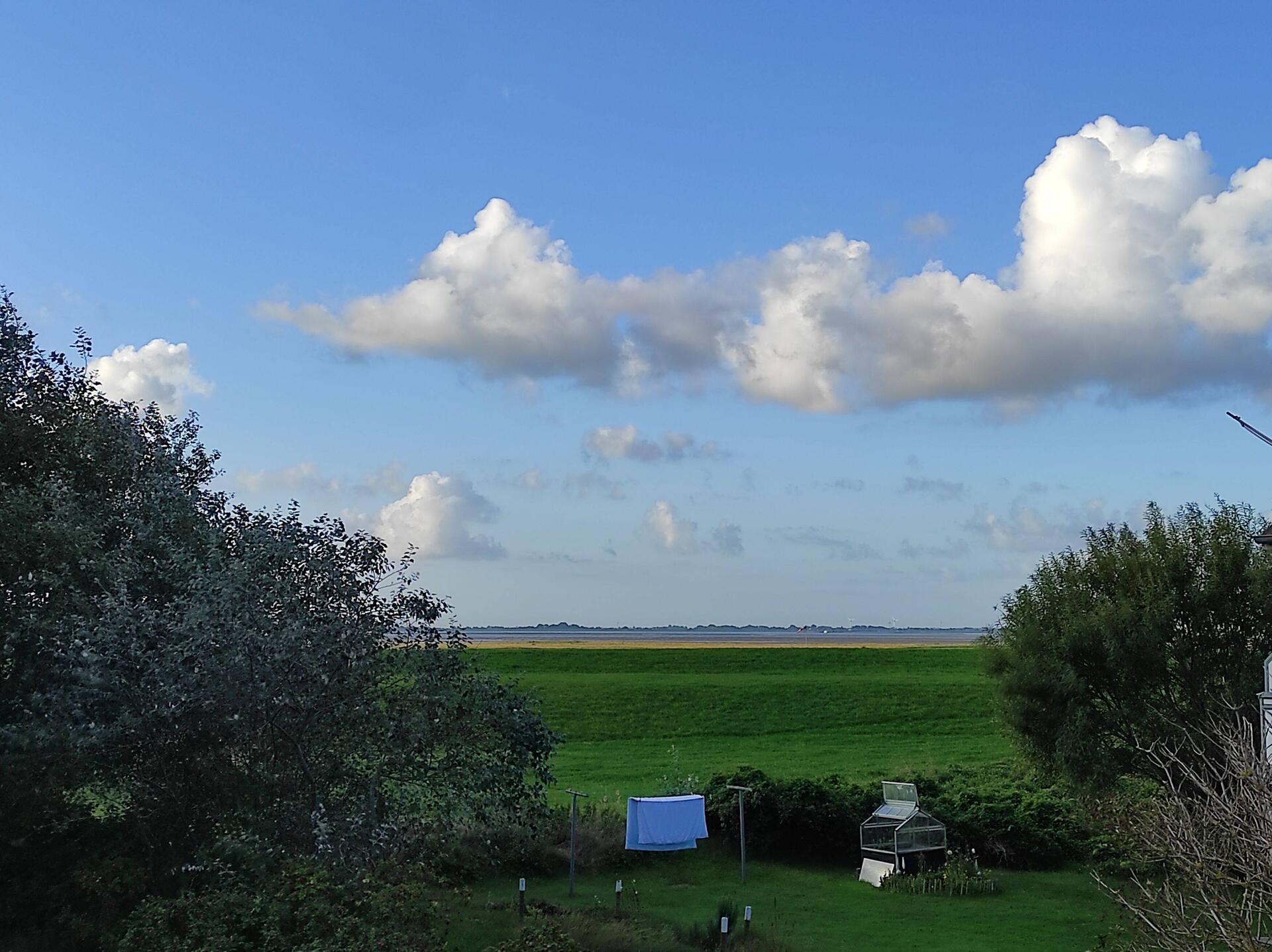 Morgendlicher Blick aus dem Wohnzimmerfenster (mit Zoom)