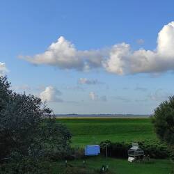 Morgendlicher Blick aus dem Wohnzimmerfenster (mit Zoom)