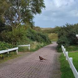 Heute geht es mal ohne Plan Richtung Naturschutzgebiet.