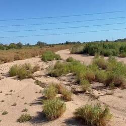 Der Fluss LA TONDERA das Flussbett war auch vor drei Jahren ohne Wasser. Klimawandel???