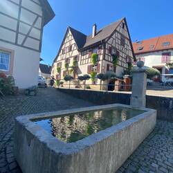 In Tumringen