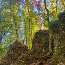 Die Wolfsschlucht