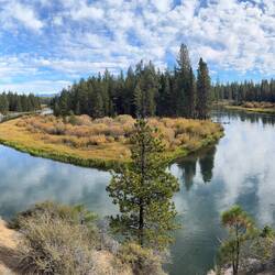 One of several goosenecks in the Deschutes River