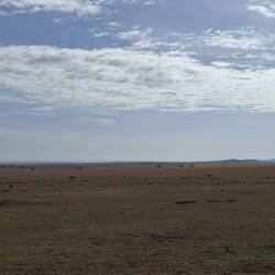 Serengeti in Swahili heisst unendliche Weite. Wisst ihr nun warum?