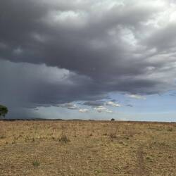 Gewitter in der Serengeti