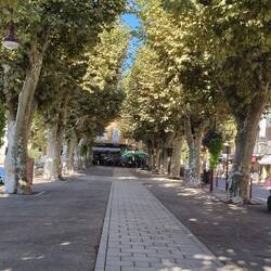 Dorfplatz mit Allee