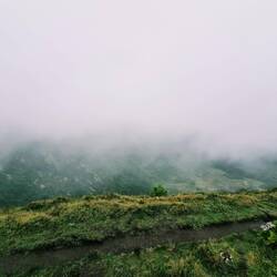 Nebel.