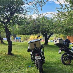 Orchard parking 💕