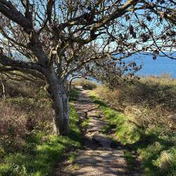Wandelen geblazen🚶
