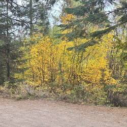 Fall Color on the trail