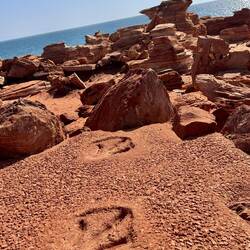 Dinosaurierspuren am Gantheaume Point