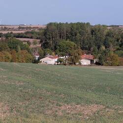 Looking down to the new extension from the top of the paddock