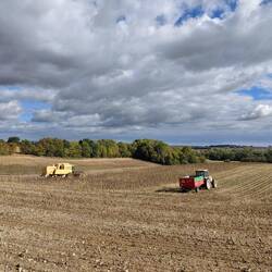 Plowing the paddocks