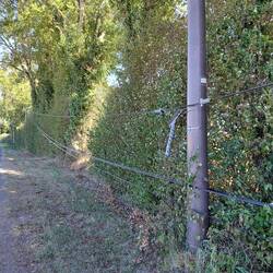 And another roadside hazard. 240v powerlines hanging almost touching the ground - storm damage
