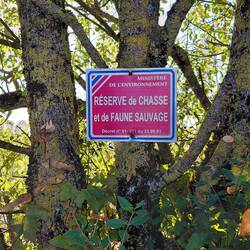 Reserve for the hunting of animals