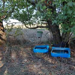 The wildlife are well looked after with containers of water left under the hedges