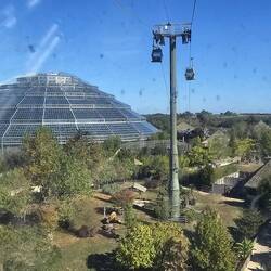 Das Zoo Gelände ist riesig und man kann sich mit einer 🚡 von einem Ende zum anderen bringen lassen.