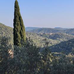 Montferrat