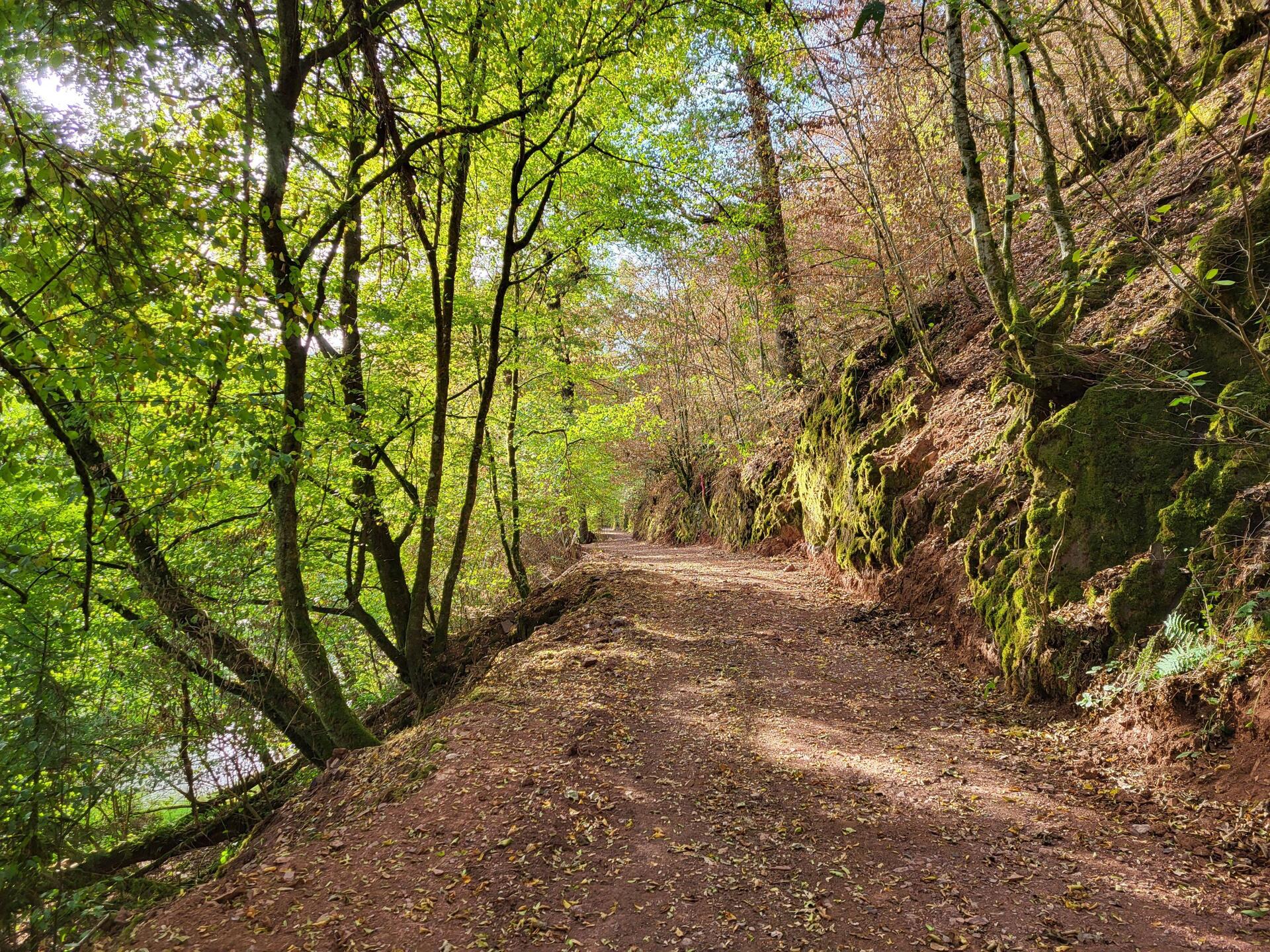 Zuerst geht es oberhalb der Salm entlang.