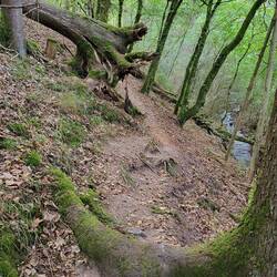 Naturnahe Pfade sorgen für Abwechslung.