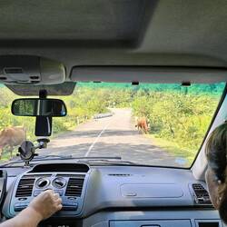 Weiterfahrt zur Okarse Schlucht