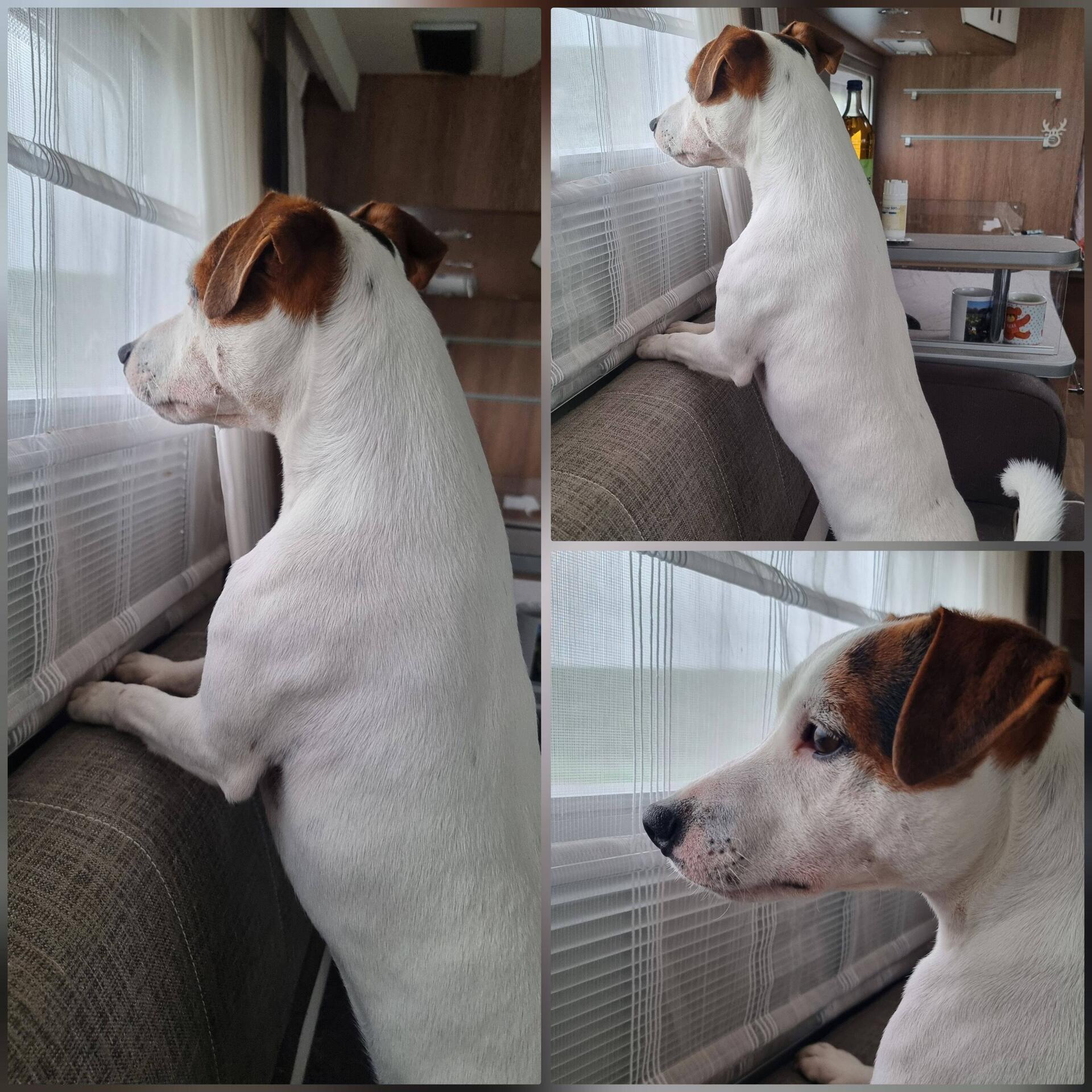 Checkpoint Fenster