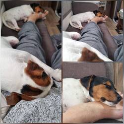 Mutig mit dem Kopf auf meinen Füßen zu schlafen..