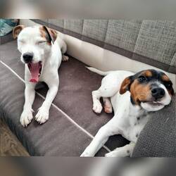 Dann wieder Siesta