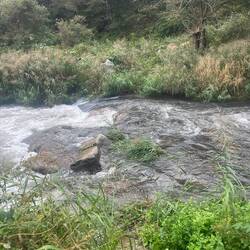 Water was flow to fast to ford