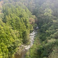 River from above the bridge