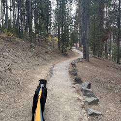 Indy leading us up the trail to the Big Obsidian Flow trail