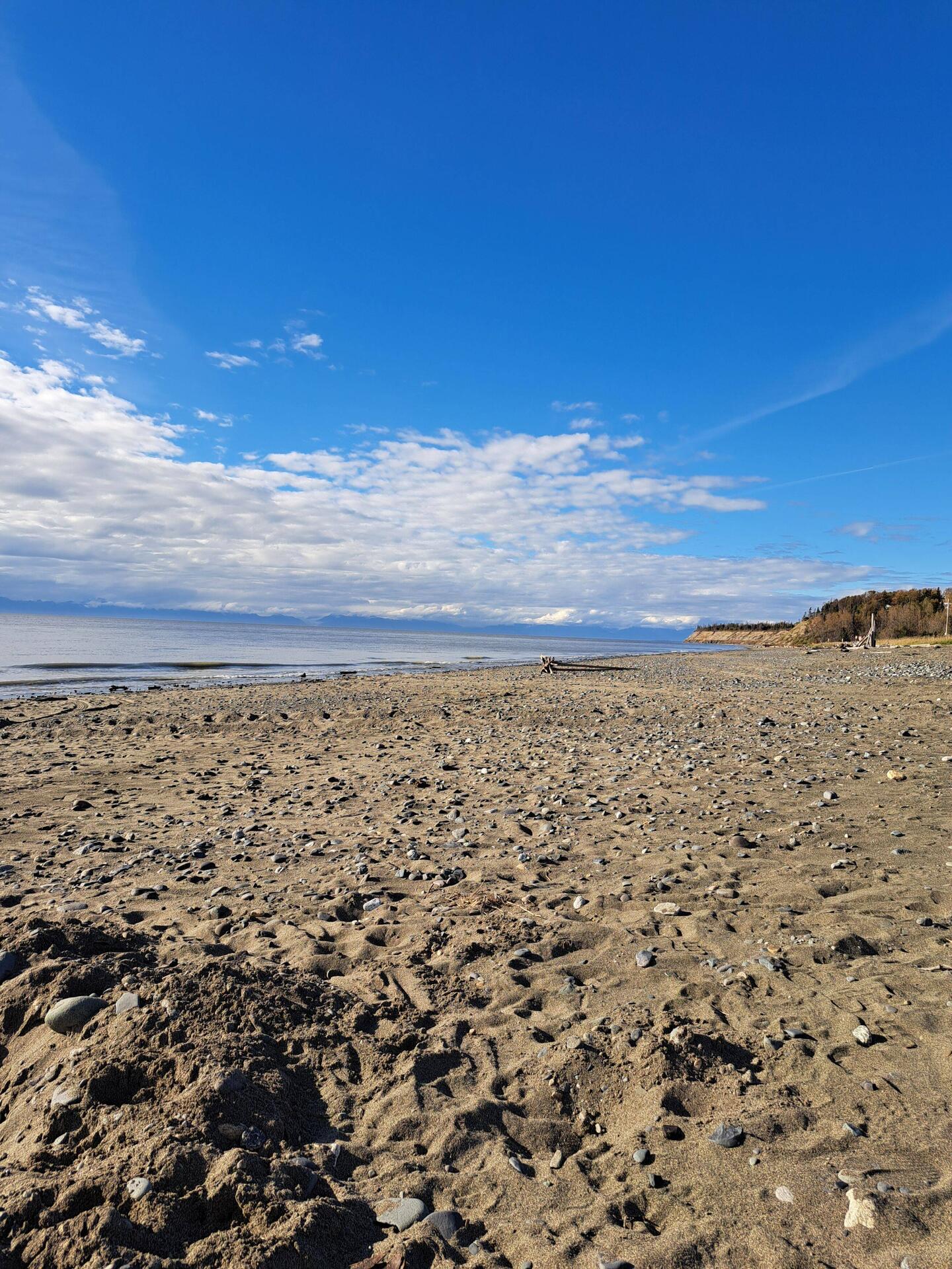 Strand von Kenai
