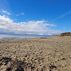 Strand von Kenai